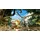 Street Fighter 6 PlayStation 4
