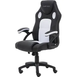 Raptor Gaming Raptor-Gaming Gaming-Stuhl schwarz/weiß