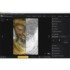 Ashampoo Photo Optimizer 11 ESD (deutsch) (PC)