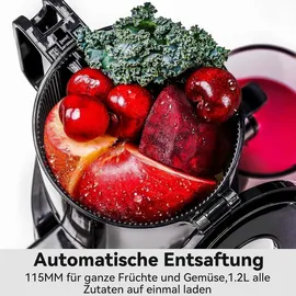canoly Slow Juicer schwarz