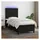 vidaXL Boxspringbett 100 x 200 cm Schwarz