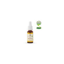 Hager Pharma Gmbh BACHBLUETE 27 Rock Water Bio