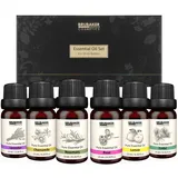 Brubaker Ätherische Öle Aromatherapieöle 6 x 10 ml