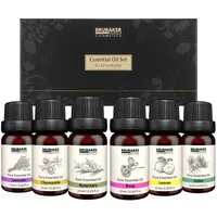Brubaker Ätherische Öle Aromatherapieöle 6 x 10 ml