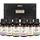 Brubaker Ätherische Öle Aromatherapieöle 6 x 10 ml