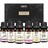 Brubaker Ätherische Öle Aromatherapieöle 6 x 10 ml