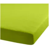 BettwarenShop Spannbettlaken Jersey-Elasthan 120 x 200 - 130 x 220 cm grün