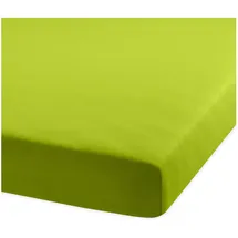 BettwarenShop Spannbettlaken Jersey-Elasthan 120 x 200 - 130 x 220 cm grün