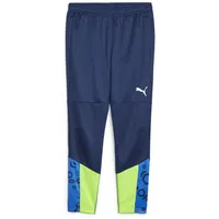 Puma individualCUP Trainingshose blau F54