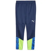 Puma individualCUP Trainingshose blau F54