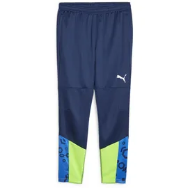 Puma individualCUP Trainingshose blau F54