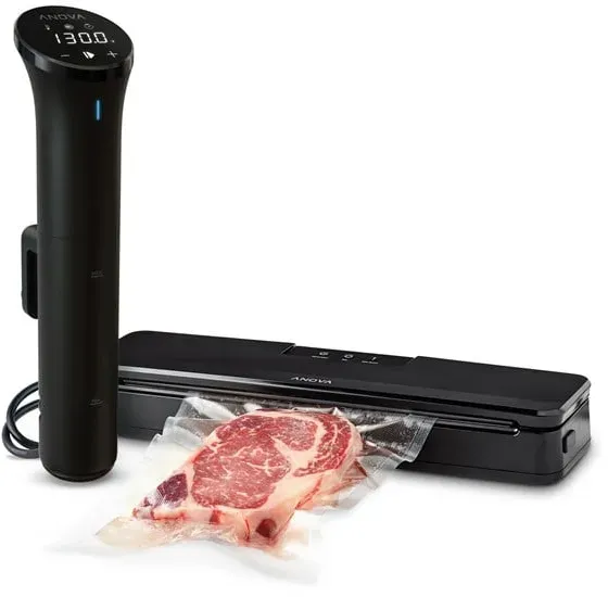 PRECISION VACUUM SEALER - EU