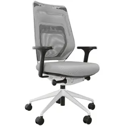 fm Büromöbel Bürostuhl »Asiento« mit Armlehnen grau