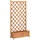 vidaXL Pflanzkübel mit Spalier 60 x 30 cm Braun