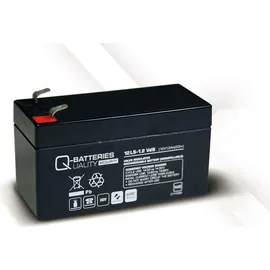 Quality-Batteries Ersatzakku für APC Back-UPS ES BE325 (c,r,t,u) RBC35 RBC 35 / Markenakku mit VdS