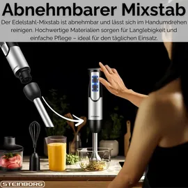 Steinborg Stabmixer Set 1500W 4-in-1 Stabmixer