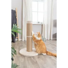 Trixie Kratzstamm XXL Rue 80 cm beige