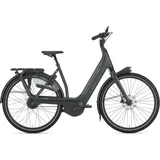 Gazelle Avignon C380 HMB 2025 53 cm grau