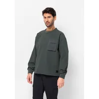 Jack Wolfskin Wandermood PULLOVER M grün