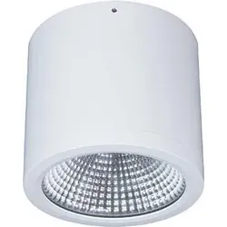LTS LED-Anbau-DownlightButton BTNM 202.30.55 ws