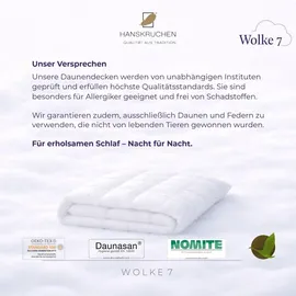 HANSKRUCHEN GmbH Hanskruchen, Wolke 7 (1740 g, Daune, 260 x 220 cm)