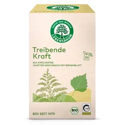 Lebensbaum Treibende Kraft Kräutertee bio (20Btl)