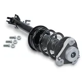 gh Federbein Komplett Federbein