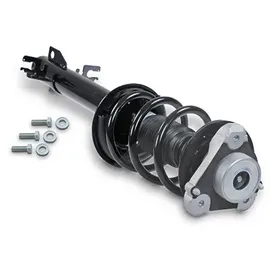 gh Federbein Komplett Federbein