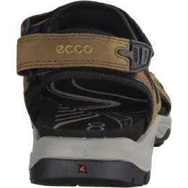ECCO Offroad Herren espresso/cocoa 43