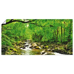 Artland Wandbild »Herbstwald Fluss Smolny«, Wald, (1 St.), als Leinwandbild, Poster, Wandaufkleber in verschied. Größen Artland Farbe Bild(er): grün