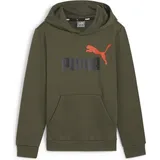 Puma ESS+ 2 Col Big Logo Hoodie FL B, Grün, 164