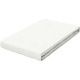 schlafgut Spannbettlaken Bio-Baumwolle-Elasthan 90 x 190 - 100 x 220 cm Off-White