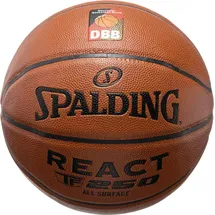 Spalding DBB React TF-250 Composite Indoor/Outdoor 5