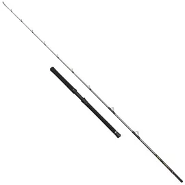 Penn Regiment Iv Halibuster Spinnrute - Silver - 2.40 m - 20-30 Lbs