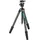 leofoto LY-284C mit 30mm Kugelkopf