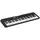 Casio CT-S300 schwarz