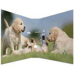 Herma ORDNER A4 KARTON TIERE HUNDE