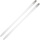 Rossignol Bc 80 Positrack Langlaufski - Multicolor - 166