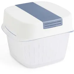 rotho Frischhaltebox FRESH DYNAMIC 1,6l