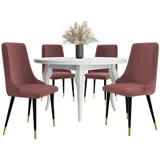 MIRJAN24 Stuhl Mario (1 Stück), Beine aus Metall, 55x48x91 cm rosa