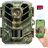 Coolifepro Wildkamera mit Handyübertragung App, 32MP Mini WLAN Wildkamera, 0,1 s Auslösegeschwindigkeit, 90° Erfassungs Winkel, MP4-Format, Wildkamera mit Bewegungsmelder Nachtsicht mit 32 GB Karte