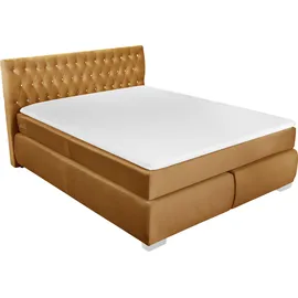 LEONIQUE Rumba 170 x 213 cm H3 Gold