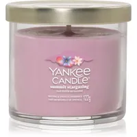 Yankee Candle Summit Stargazing Duftkerze 122 g rosa