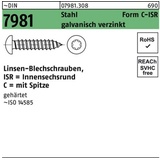 Reyher Blechschraube DIN 7981 LIKO ISR 5,5x90 -C-T25 Stahl galv.verz. Spitze 250St.