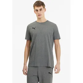 Puma Teamgoal 23 Casuals Tee Grau L