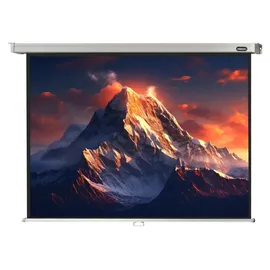 Celexon Rollo Professional 180x135 4:3