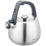 Stahl-Wasserkessel Flötenkessel Teekessel Kessel 2,5L Induktion