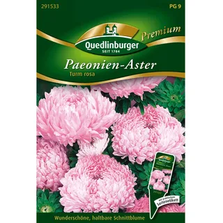 Quedlinburger Paeonienastern ''Turm rosa''