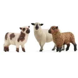 Schleich FARM WORLD 42660, 3 Jahr(e), Mehrfarbig