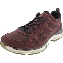 Lowa INNOX EVO II GTX Ws merlot/dune 37